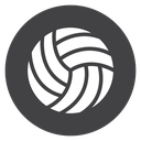 Volleyball Curved Seams icon