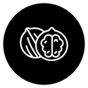 Walnut icon