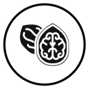 Walnut icon