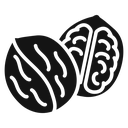 Walnut icon