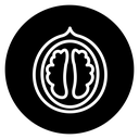 Walnut icon