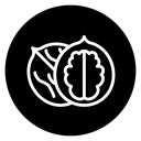 Walnut icon