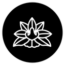 Water Lily Bloom icon