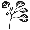 Watercress vegetable icon