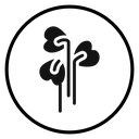 Watercress vegetable icon