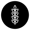 Wheat 2 icon