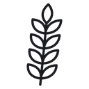 Wheat 4 icon
