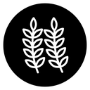 Wheat icon