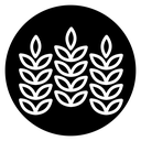 Wheat 2 icon