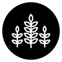 Wheat icon