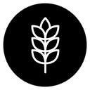 Wheat 2 icon