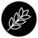 Wheat icon