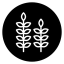 Wheat grain icon