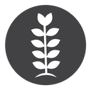 Wheat grain icon