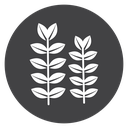 Wheat Stalk Pair Black Filled icon