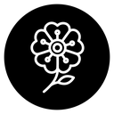 Wild rose icon