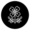 Wildflowers icon