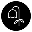 Wilted flower icon