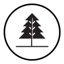 Winter tree icon