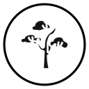 Winter tree icon