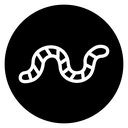 Worm icon
