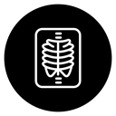 X ray 2 icon