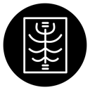 X ray icon