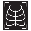 X ray icon