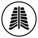 X-ray icon