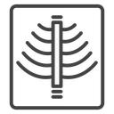 X ray icon