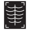 X-ray scan icon