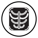 X-ray scan icon