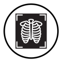 X-ray scan icon