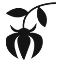 Ylang ylang icon