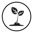 Young sprout icon