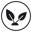 Young sprout icon