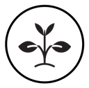 Young sprout icon