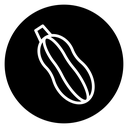Zucchini icon