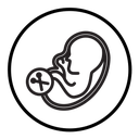 Abortion of fetus icon