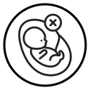 Abortion of fetus icon