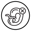 Abortion of fetus icon