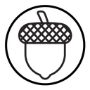 Acorn icon