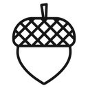 Acorn 4 icon