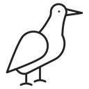 Albatross icon