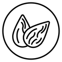 Almond 2 icon
