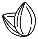Almond icon