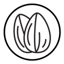 Almond icon