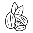 Almond 2 icon