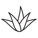 Aloe vera icon