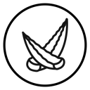 Aloe vera icon